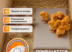 Коврик-обогреватель ТеплоМакс 50х25 см для животных, птиц, рептилий, с терморегулятором